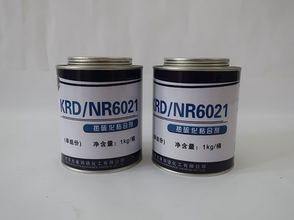 NR6021ճτ